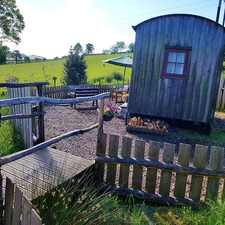 Eco Accommodation Cornflower Holiday 크래븐 암즈 외부 사진