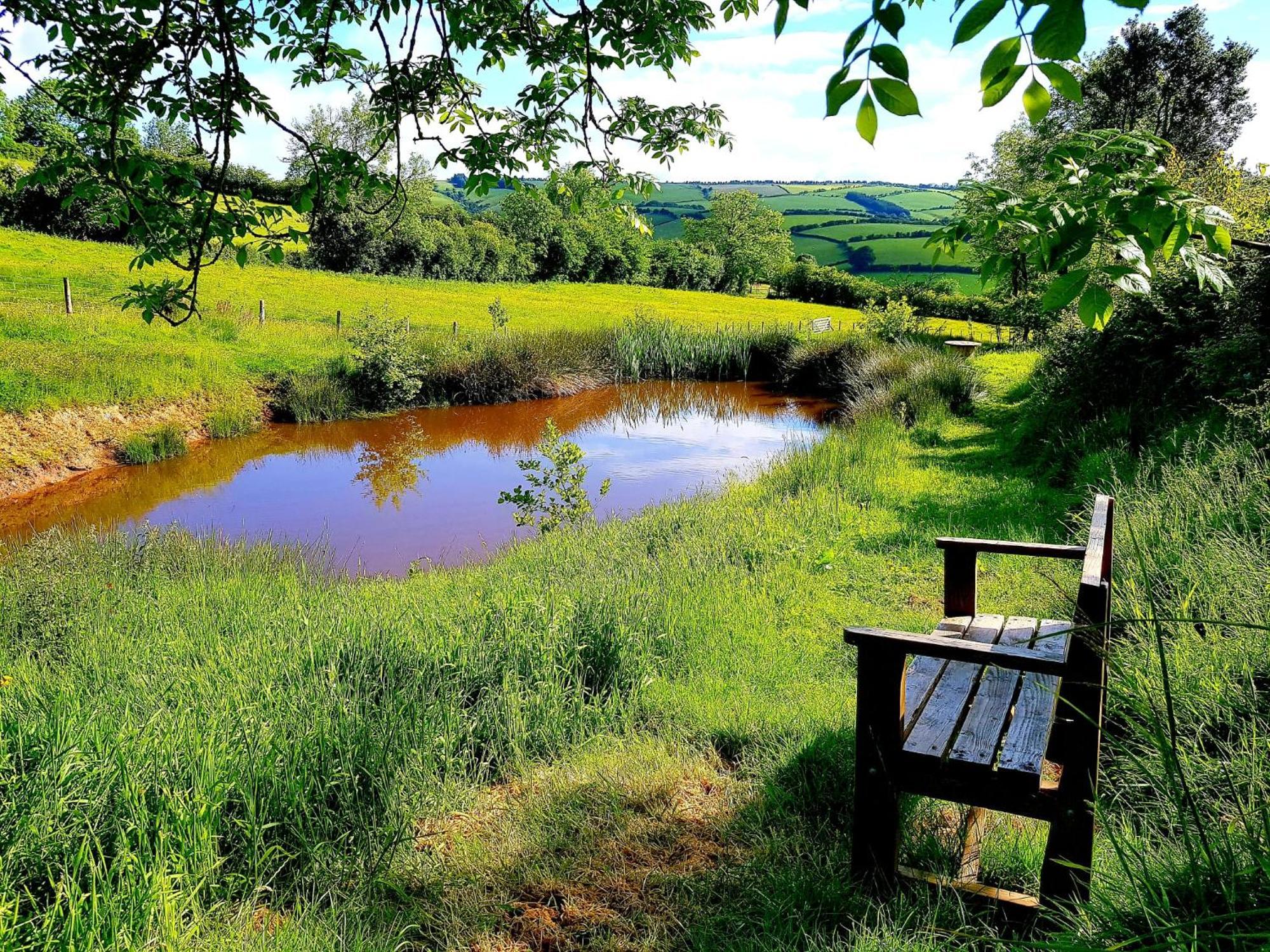 Eco Accommodation Cornflower Holiday 크래븐 암즈 외부 사진